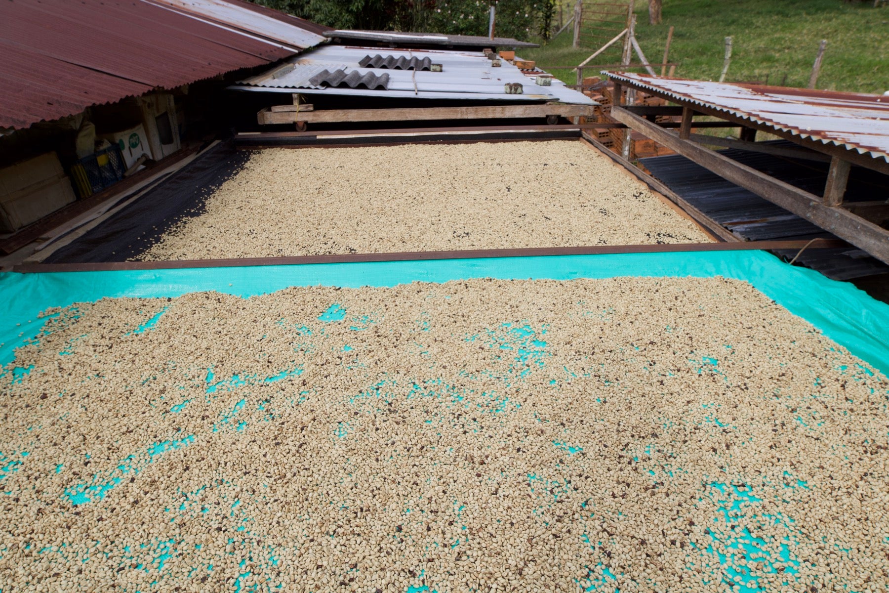 Drying beds across the farm
