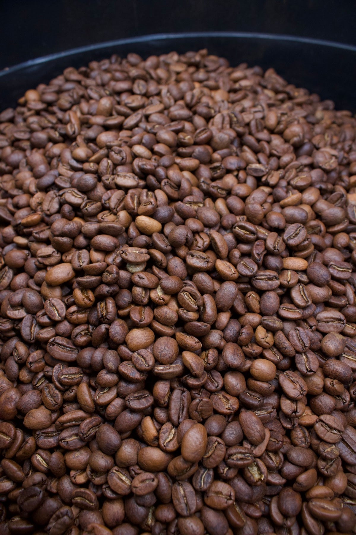 Roasted beans on the cooling tray