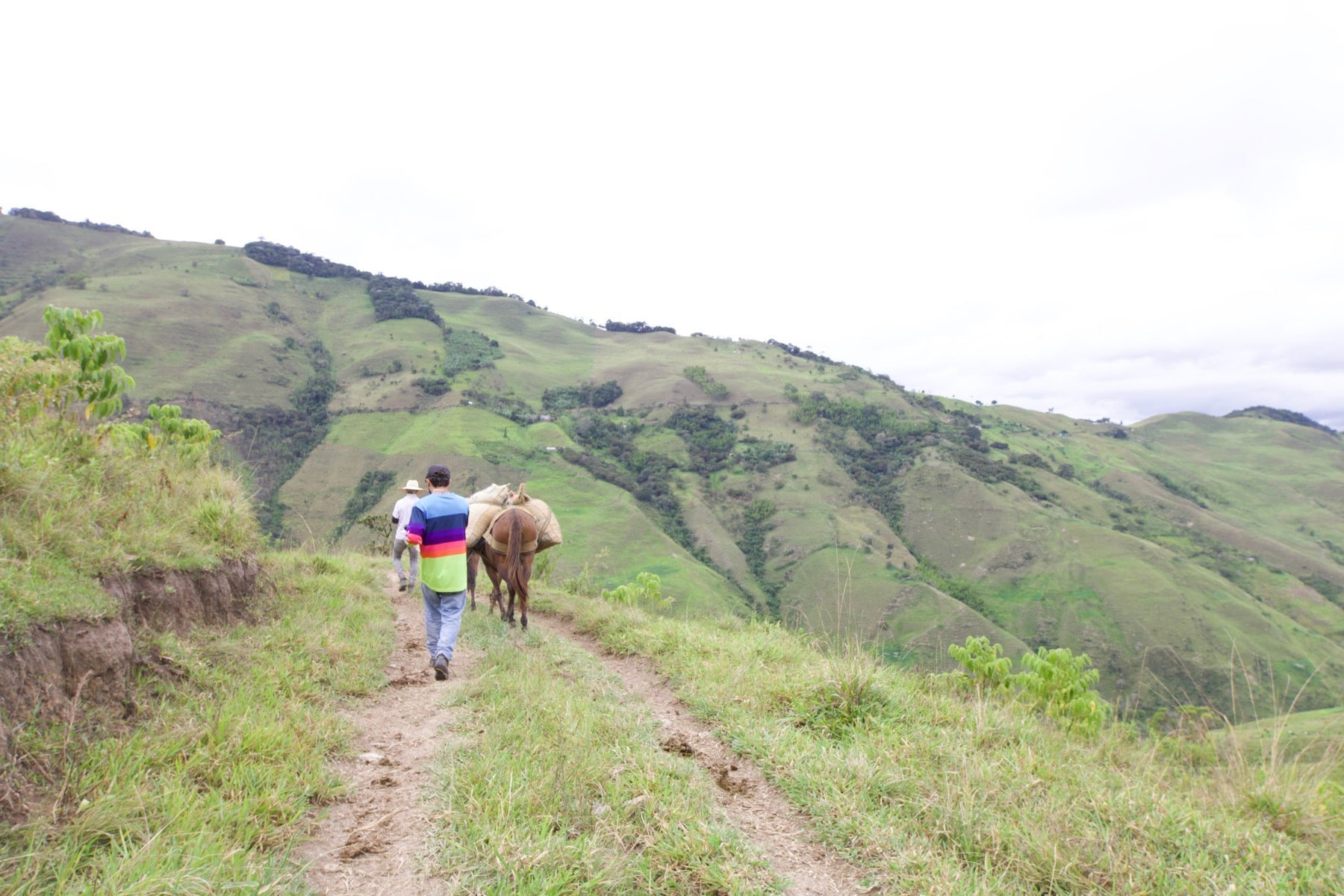 Mountain trail to Finca Piamonte