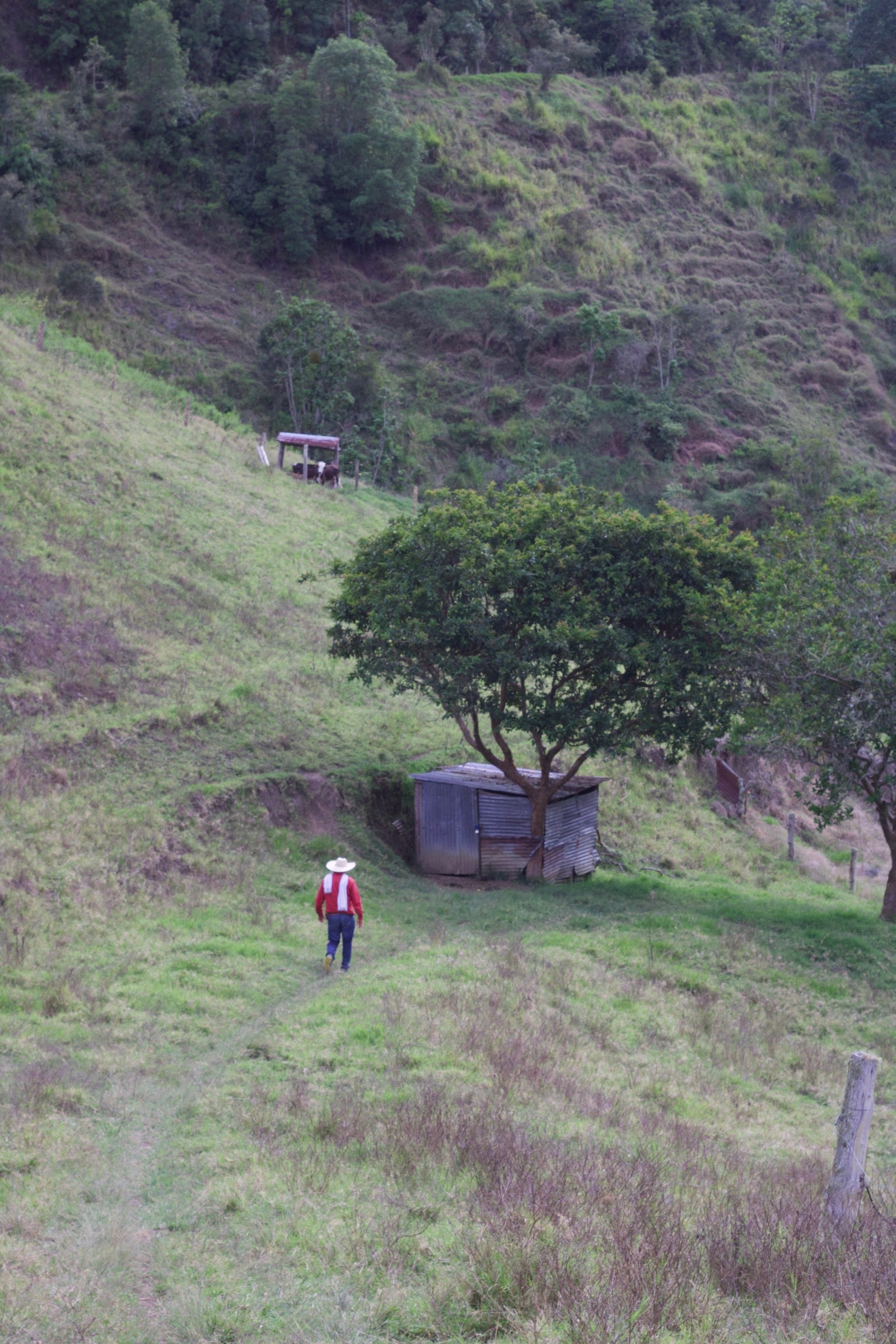 One farm,