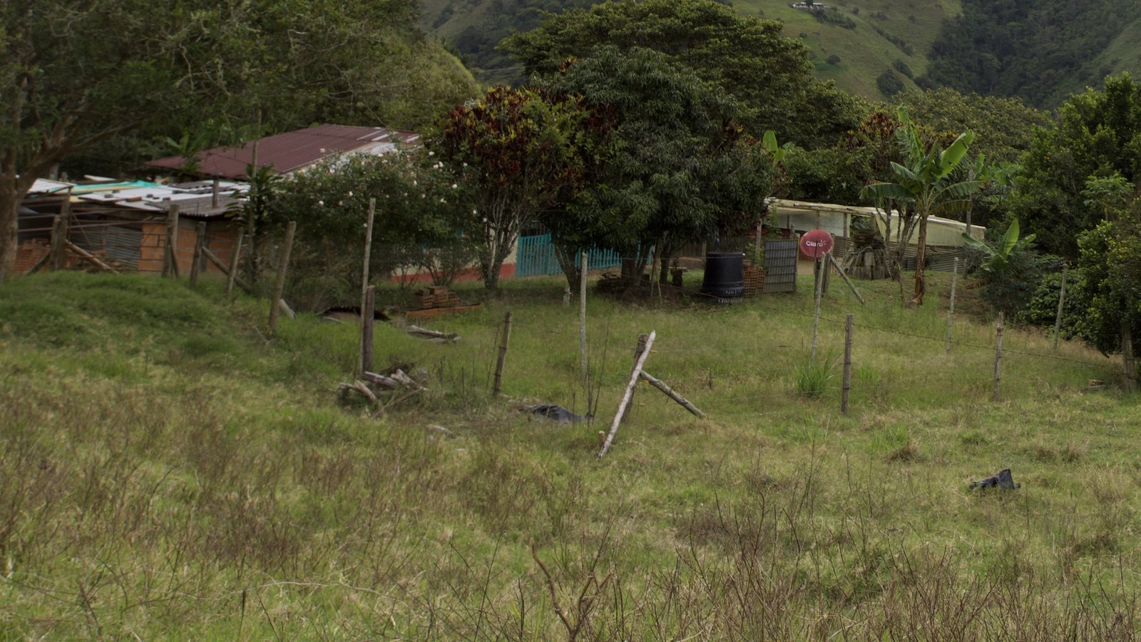 Finca Piamonte at altitude in the Colombian Andes